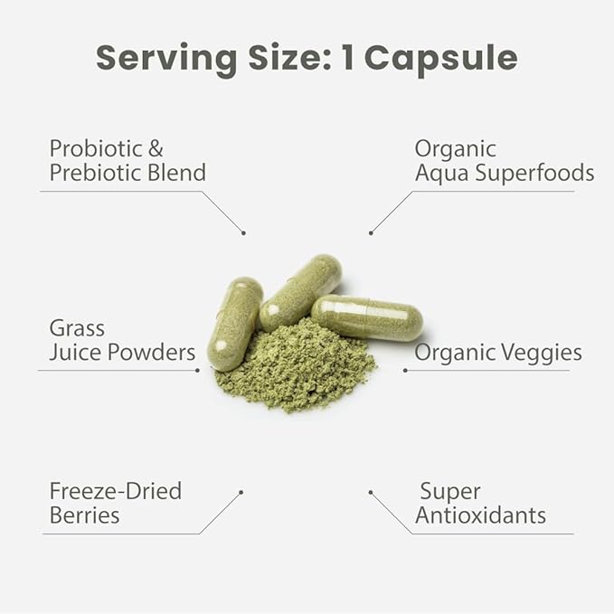 Paradise Herbs Earth's Blend Once Daily Multivitamin with Iron 48 Organic Superfoods Probiotics Antioxidants Vitamins A B12 C D K2 120 Capsules