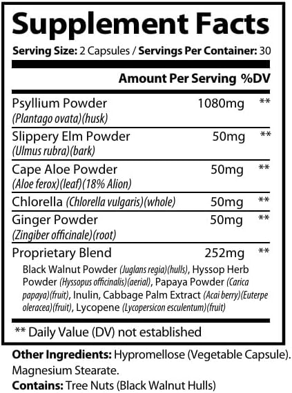 (2 Pack) Synogut - Synogut Pills for Digestive Support Gut Health (120 Capsules - 2 Month Supply)