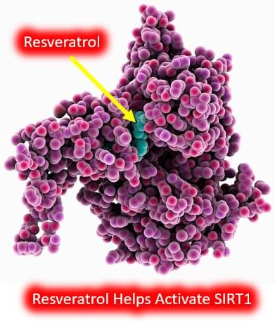 Resveratrol 1000mg Trans-Resveratrol + Quercetin Sirtuin Activator Boosts NAD Levels 120 Capsules 2 Month Supply