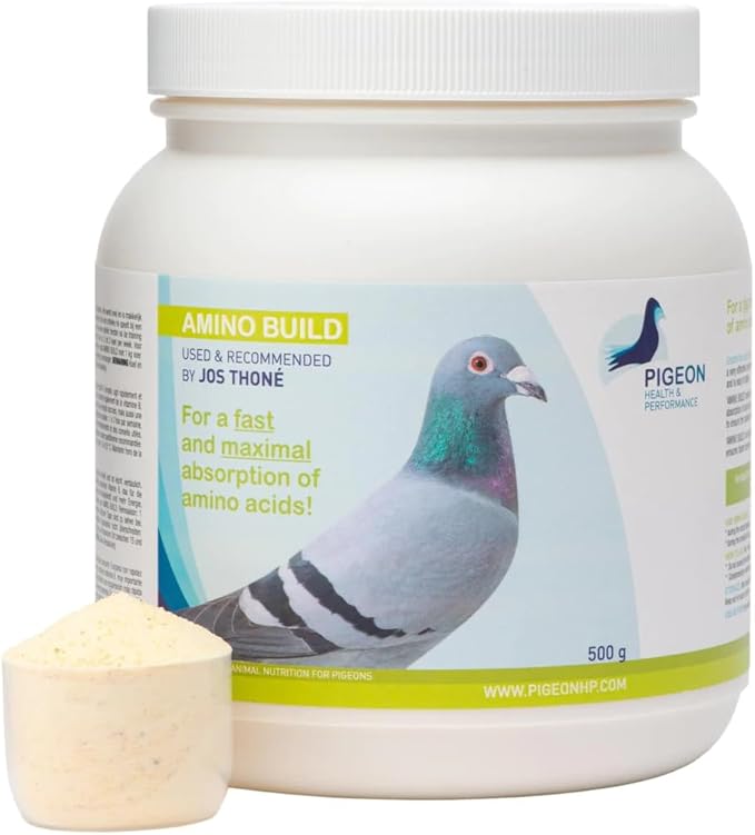 Generic PHP Amino Build 500g - Muscle-Building Amino Acids Pigeon Health &amp Performance