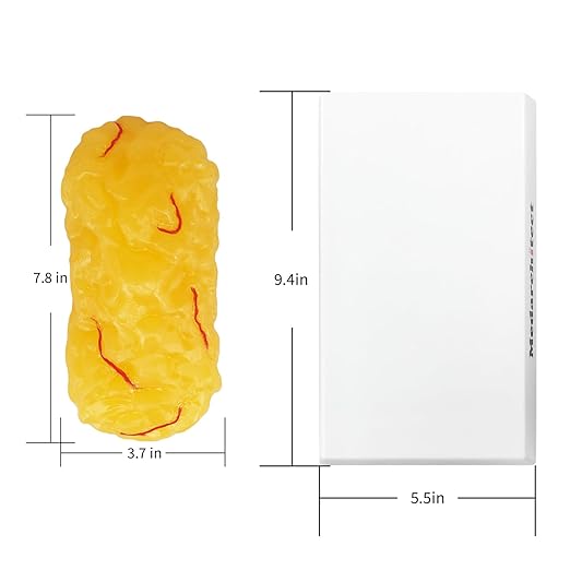 Medarchitect Authentic Human Body Fat &amp Muscle Replica - 1 lb
