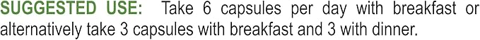 Insulin Plant Capsules (Costus Igneus) 100% Natural Supplement 360 Veggie Caps (2 Month Supply) - Insulin Plant