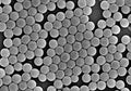 Alpha Nanotech Colloidal Polystyrene Beads (Non-Functionalized 50 μm 10 mg/ml 10 ml)