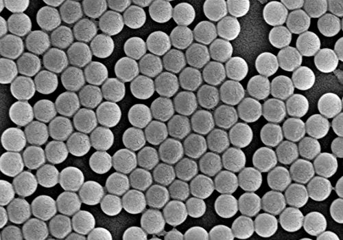 Alpha Nanotech Colloidal Polystyrene Beads (Non-Functionalized 50 μm 10 mg/ml 10 ml)