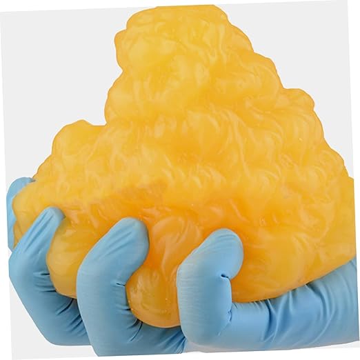 Mobestech Fat Model 5 Pound Fat Anatomical Model Fat Male Models Fat 1lb Examination Supplies Maniquin 1 Pound Fat 1 Pound of Fat Teaching Model 5lb Fat Manikin Body Student Component TPE
