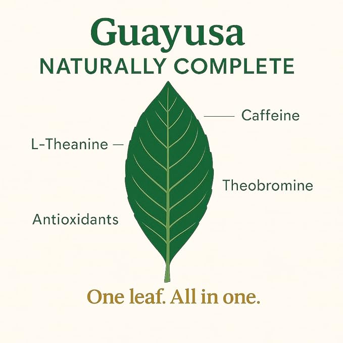 GREEN GUAYUSA TEA BAGS by PACHA | 100 Tea Bags | 1.5g leaf in each | ~33 mg Caffeine per cup | Clean &amp Balanced Energy |