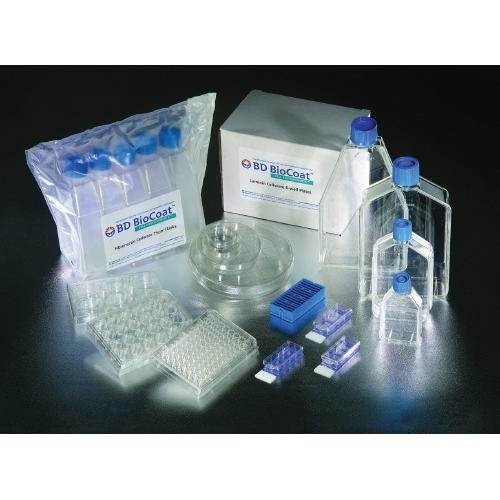 Plates Collagen I 12WELL CS50