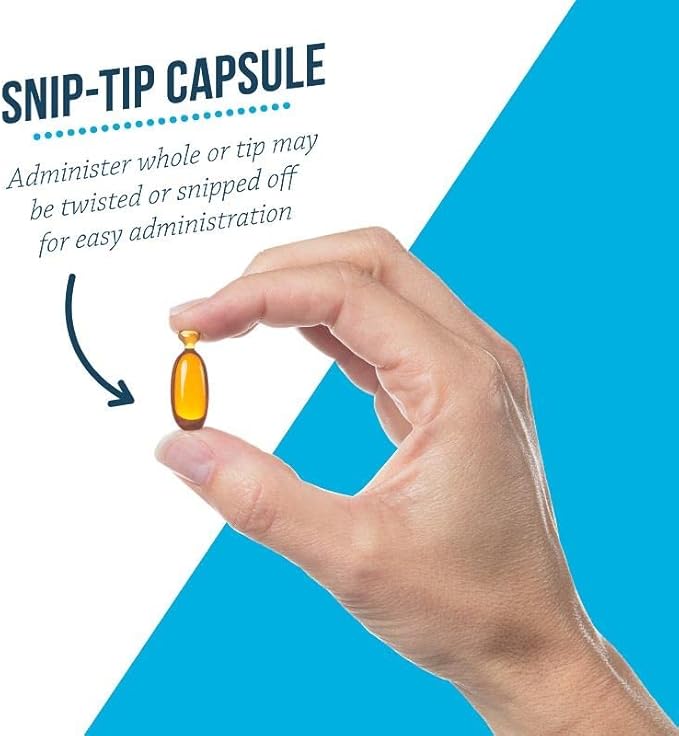 Free Form Snip Tips Omega-3 Fish Oil Liquid Supplement for Small Dogs and Cats 60 Count (Pack of 2)