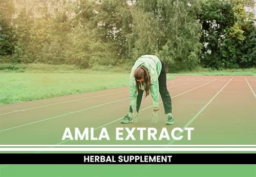 PURE ORIGINAL INGREDIENTS Amla Extract (365 Capsules) No Magnesium Or Rice Fillers Always Pure Lab Verified