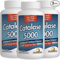 Rise-N-Shine Catalase Supplement 5000 with Saw Palmetto Biotin Fo-Ti PABA - Hair Supplements for Strong Hair - 180 Capsules (90-Day Supply)