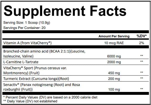 Recovery Post-Workout Powder – Muscle Recovery &amp Protein Synthesis Support – Clean Formula with BCAAs – 20 Servings