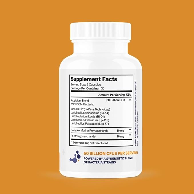 Probiotic Formula – Probiotic Strains – Gut Digestive &amp Immune Health Support – 60 Billion CFU Capsules 60ct