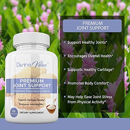 Divine Vibes Glucosamine Chondroitin Turmeric MSM Boswellia - Joint Supplement 60 Tablets