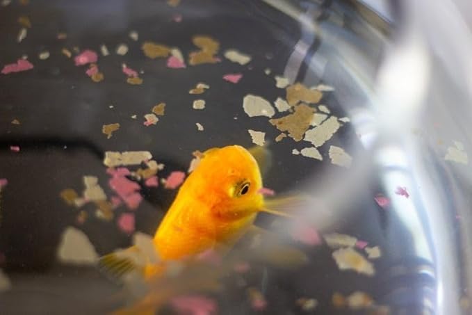 Aquatic Foods Inc. Koi &amp Pond Fish Krill Flakes. Arctic Krill Flakes which Contain Natural Carotenoids &amp Astaxanthin That Will Enhance The Vibrant Colors of Fish...WL…2-lbs Poly Bag
