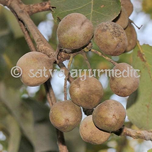Astha SATVA Baheda Powder - 100% Terminalia Bellirica Fruits-(100 gm)