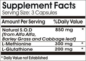 Advanced Metabolic Enzyme // 90 Capsules // Pure // by PureControl Supplements