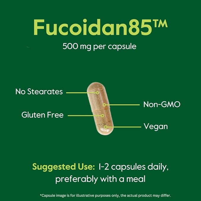 BESTVITE Fucoidan Extract 500mg (Standardized to 85% Fucoidan) (120 Vegetarian Capsules) No Fillers - No Stearates - No Flow Agents