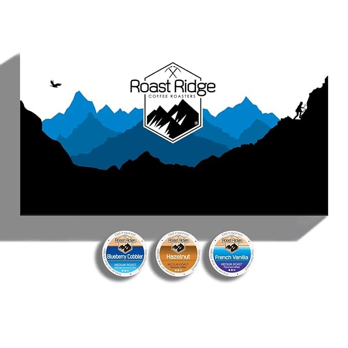 Roast Ridge Single Serve Coffee Pods for Keurig K-Cup Brewers Flavored Variety Pack Medium Roast 60 Count (20 each: Blueberry Cobbler Hazelnut French Vanilla)