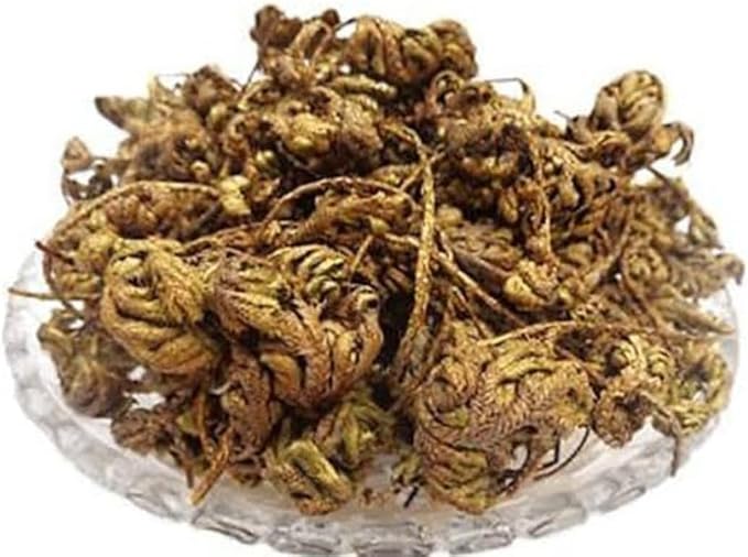 Raw Organic Selaginella Bryopteris - 50 Gram Lakshmana Booti
