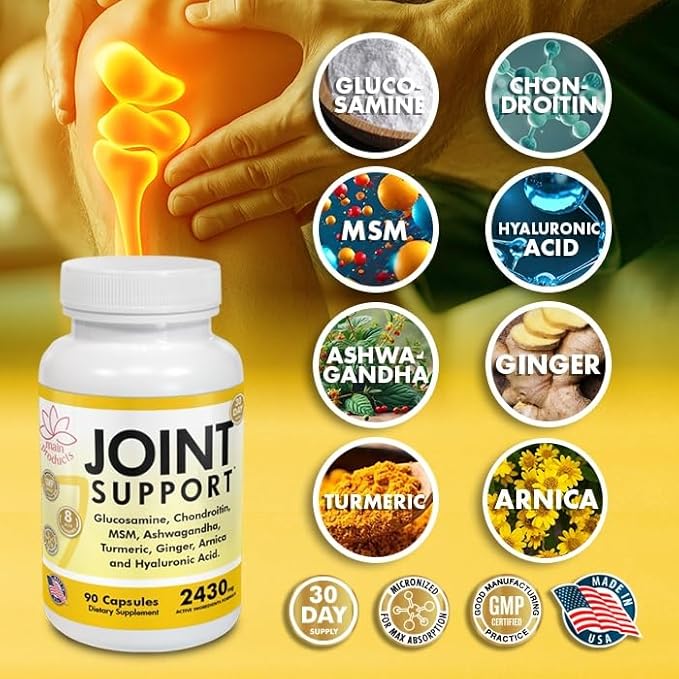 Glucosamine Chondroitin MSM Hyaluronic Acid Ashwagandha Turmeric Ginger Arnica - Joint Support Supplement Micronized 2430mg 2 Pack