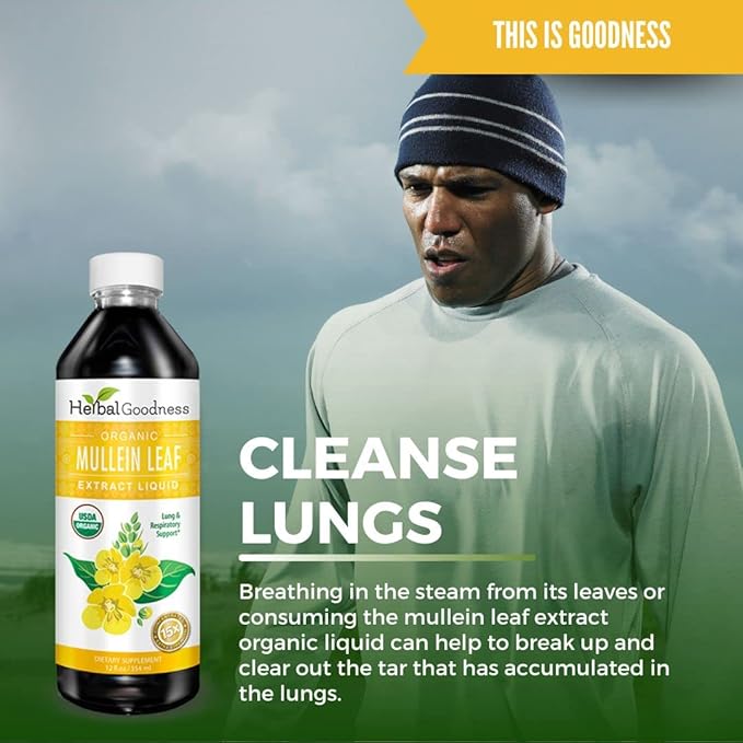 Herbal Goodness Mullein Drops for Lungs - Respiratory Support Mullein Leaf Extract for Lungs Bronchial &amp Lung Detox for Smokers Organic Wild Mullen as Tea Pills Tincture - Made in USA - 12 Fl