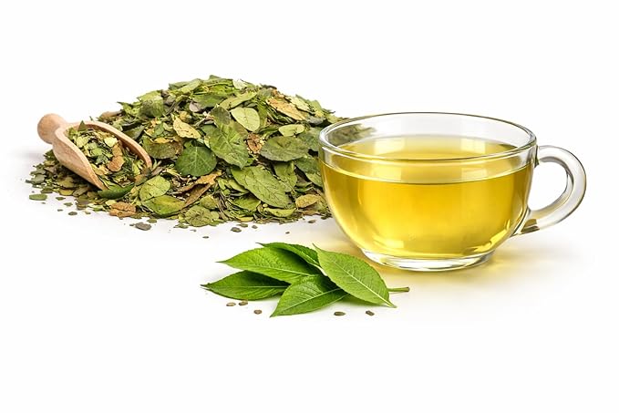 GREEN GUAYUSA TEA BAGS by PACHA | 100 Tea Bags | 1.5g leaf in each | ~33 mg Caffeine per cup | Clean &amp Balanced Energy |