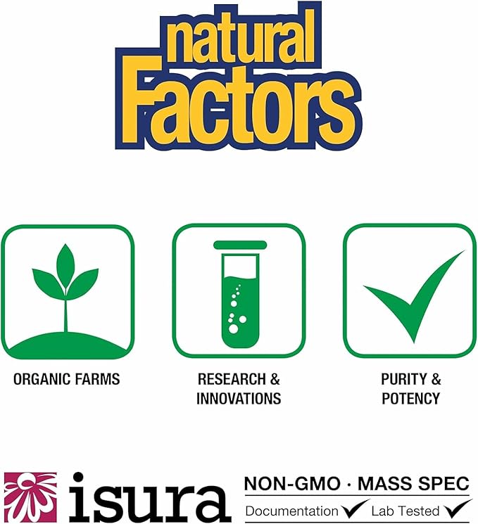 Natural Factors High Potency Multi Enzyme Vegetarian Formula Plant-Based Digestive Aid 120 Capsules