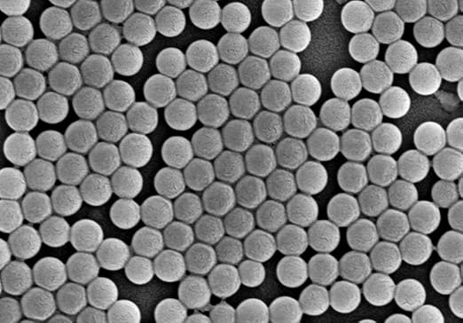 Alpha Nanotech Colloidal Polystyrene Beads (Non-Functionalized 100 nm 50 mg/ml 10 ml)
