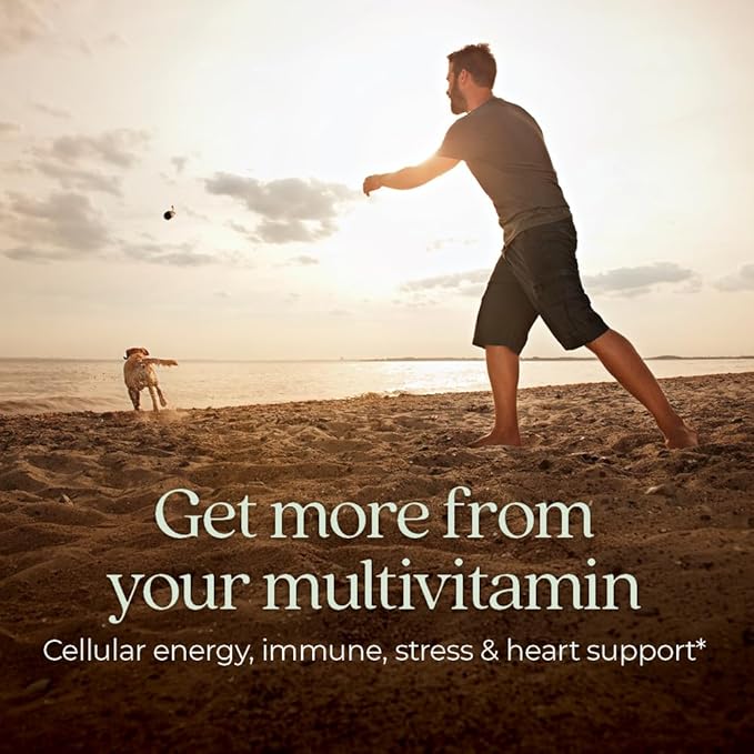 New Chapter Men’s Multivitamin B6 Extra B12 D3 Vitamin C &amp Zinc Immune Heart Cellular Energy and Brain Health Gentle on The Stomach One Daily Non-GMO Gluten-Free 18+ 72 Tablets