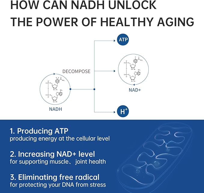 CELFULL 40mg NADH Immune Support SupplementsBoost Energy NAD+ Levels Anti-Aging NAD+ for Women and Men