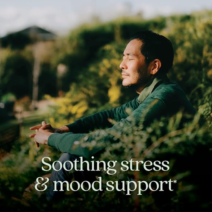 New Chapter Perfect Calm - Daily Multivitamin for Stress &amp Mood Support with B Vitamins + Holy Basil + Lemon Balm + Organic Non-GMO Ingredients - 144 Count