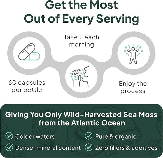Organics Ocean Wild Sea Moss Capsules - 100% Organic Irish Sea Moss with Organic Chlorella Bladderwrack and Vitamin D for Energy Lung Health and Thyroid Support for Women and Men - 60 Capsules