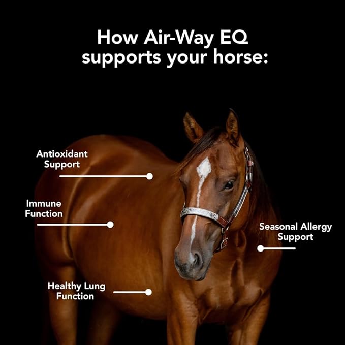 MVP Air-Way EQ Supports Healthy Lung Function and Seasonal Allergy Support in Horses 5lb - 40 Servings