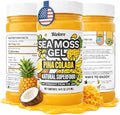Biolore Pina Colada Sea Moss Gel 16 oz - No Added Sugar Vegan Made in USA - Wildcrafted Sea Moss Superfood with 92 Essential Vitamins - Ready to Use No Prep Needed