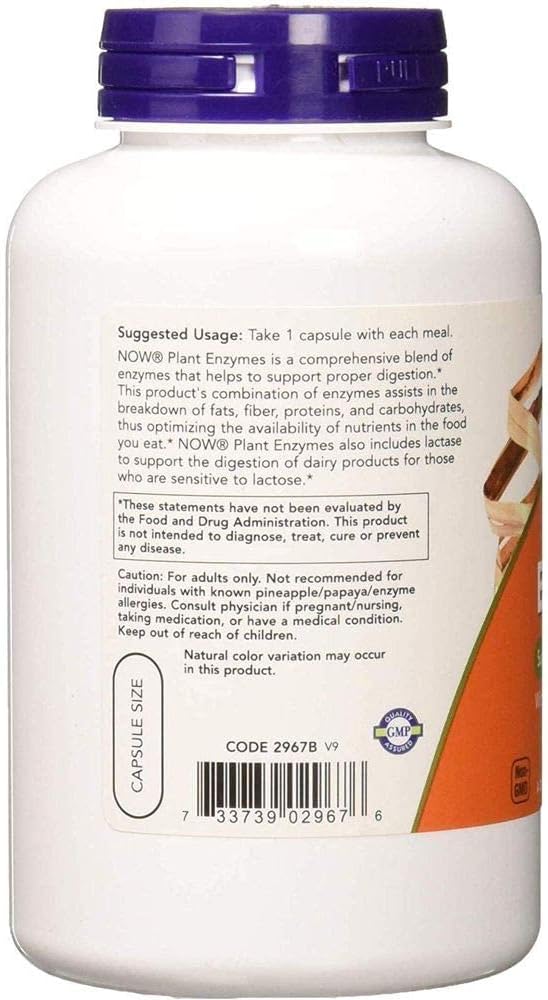 Plant Enzyme 240 Vcaps by Now Foods (Pack of 4)