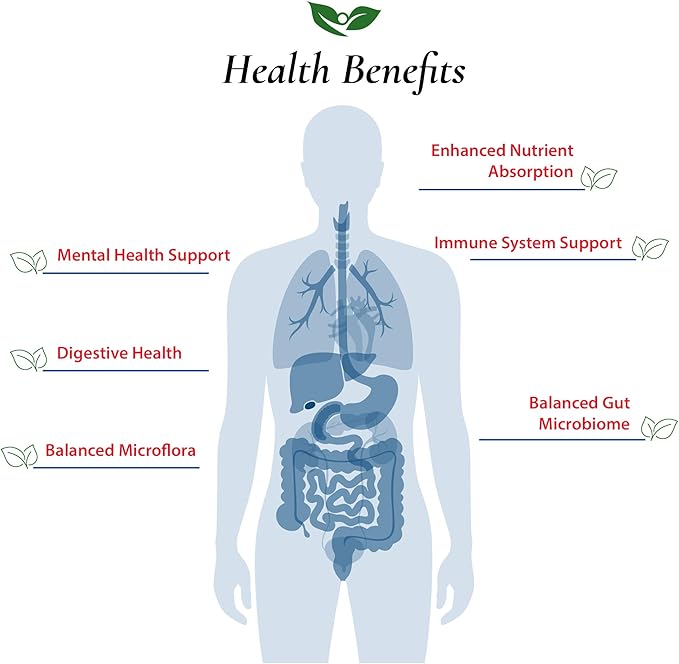 Foods For Gut Lactobacillus Plantarum Probiotic Powder 400 Billion cfu's | Made in USA | No Additives | Direct from Manufacturer | No Third-Party Storage | Immune Support | 60 Grams (2.11 OZ)