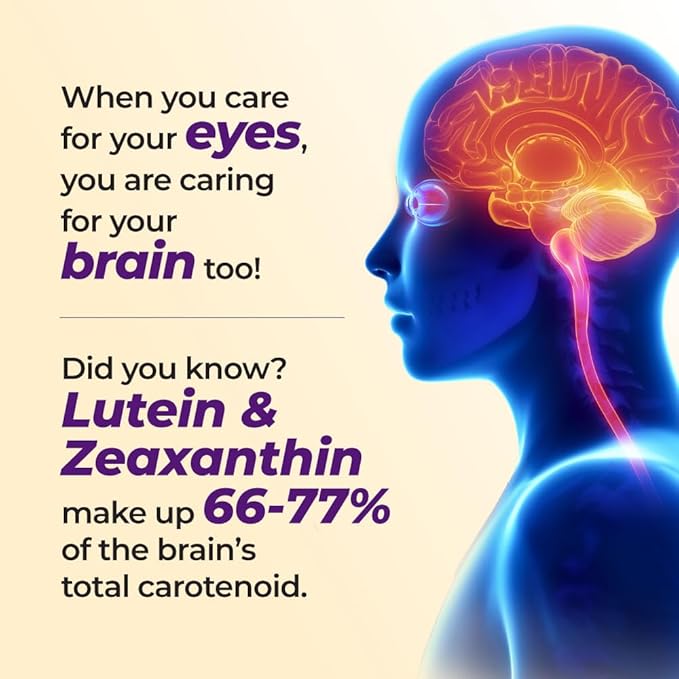 AFC Japan Ultimate Vision 4X - Improved Up-Sized Eye Formula with Lutein Zeaxanthin Bilberry Extract and Vitamins for Age-Related Eye Problem Blurry &amp Poor Vision Dry Eye Macular Health 45s