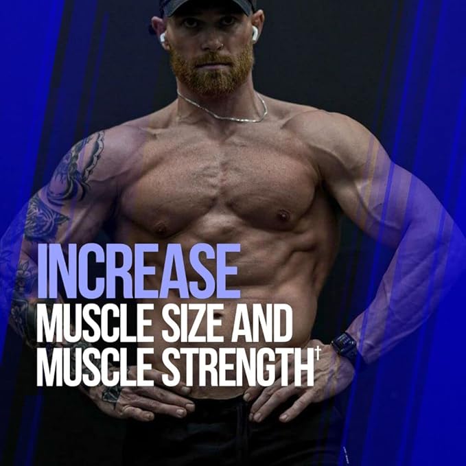 ALPHA LION Gains Candy Supplement Pills for Muscle Growth Size &amp Strength Nitric Oxide Booster Muscle Builder Use Daily to Upgrade Energy &amp Workout Performance 60 Capsules (RipFACTOR®)