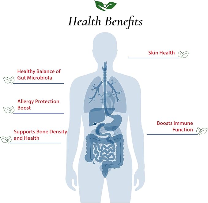 Foods For Gut Lactobacillus Helveticus Probiotic Powder 100 Billion cfu's | No Additives | Direct from Manufacturer | No Third-Party Storage | Immune Support | L. Helveticus | 60 Grams (2.11 Oz)