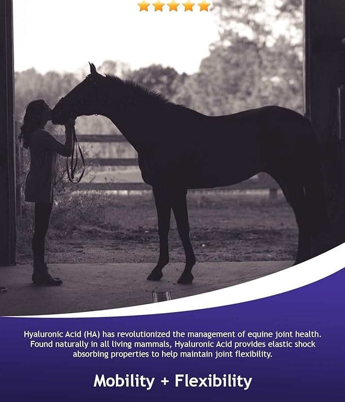 Hyalogic Hyalun PRO Gel – Hyaluronic Acid Horse Joint Supplement – Pre &amp Post Event Booster – 30cc Equine Syringe Oral – 3 Full Administrations Hyalun 100mg Pure Hyaluronic Acid (HA)