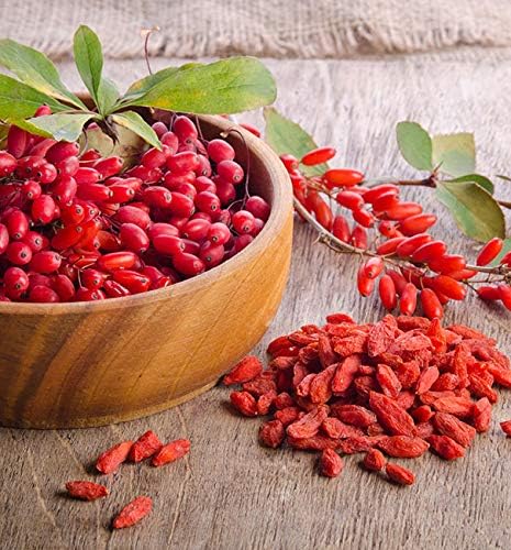 antioxidant supplement - GOJI BERRY COMPLEX - WITH POMEGRANATE RESVERATROL NONI ACAI - Pomegranate vitamin e for skin - antioxidant nutritional supplements - antioxidants vitamins - 2 Bot 120 Caps