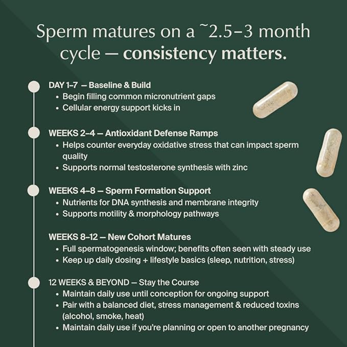 WeNatal for Him Prenatal Multivitamin with Methylated Folate Zinc CoQ10 NAC L-Carnitine Vitamin C &amp E Selenium Supports Sperm Health Motility Morphology Vegan Non-GMO 90 Capsules