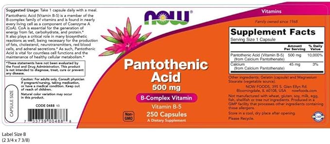 Now Foods Pantothenic Acid 500 mg 250 Capsule (2 Pack)