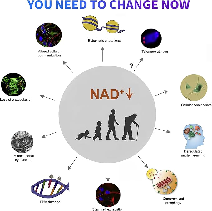 NAD Patches for Women &amp Men 60 Count NAD+ Boost Patch for Anti-Aging Wellness and Energy Support Extra Strengthwith NMNCoQ10Thiamine &amp Resveratrol