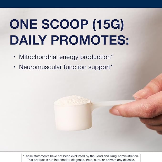 Metagenics MitoVive - Mitochondria &amp Energy Support Supplement* - with Amino Acids Magnesium L-Carnitine &amp Taurine - Supports Cellular Energy Muscle Recovery &amp Stress Response* - 30 Ser
