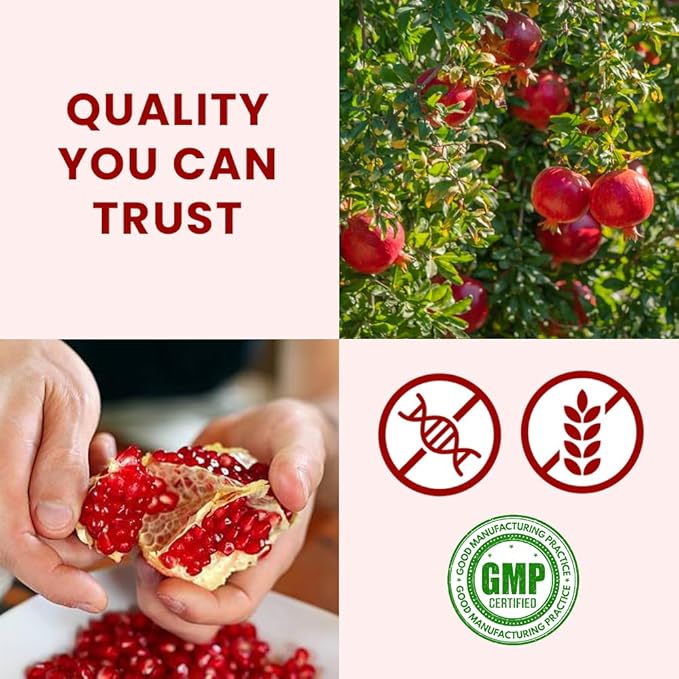 bixa BOTANICAL Pomegranate Peel Powder | Herbal Tea Skincare &amp DIY Beauty | Punica Granatum Ayurvedic Herbal Supplement | Gluten Free Non-GMO Steam Treated Vegan 100% Pure | 200g / 7oz