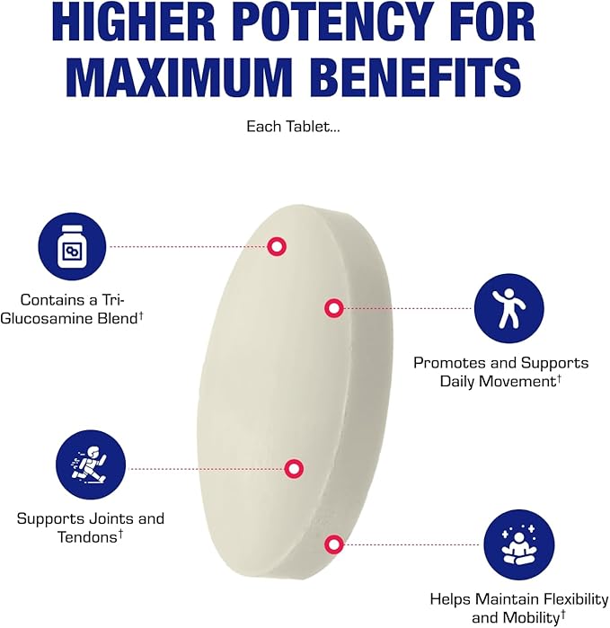 High Absorption Glucosamine Chondroitin MSM - Clinical Formula Bone Joint Tendon and Ligament Supplement with MSM Glucosamine Chondroitin - Non-GMO Gluten Free &amp Made in The USA - 120 Servings