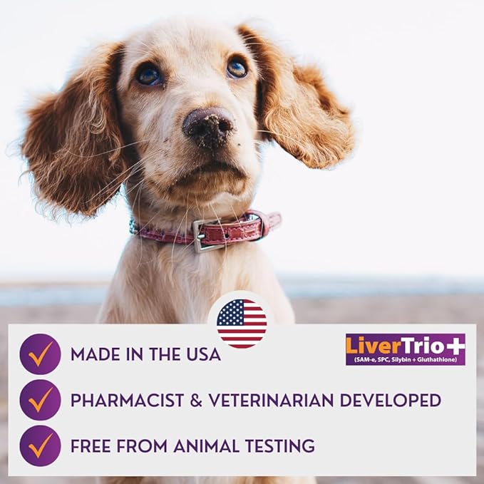 Comprehensive Liver Support Supplement for Large Dogs. Flavorful Chewable Tablets Combining Same SPC Silybin A+B + Glutathione 30Ct (Large)