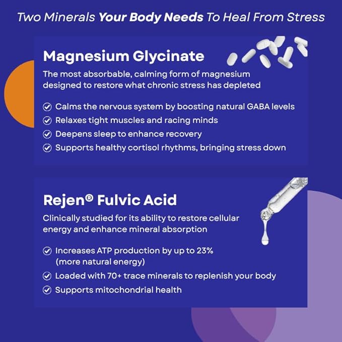 GLDN Magnesium Liquid Syrup - Nighttime Magnesium Glycinate with Rejen Fulvic Acid for Improved Absorption Key Electrolytes and L-Theanine for Sleep and Cortisol Support - Peach Iced Tea (16 fl.oz)