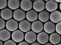 Colloidal Polystyrene Beads (Carboxylated 900 nm 10 mg/ml 10 ml)